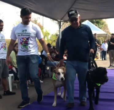 Momento da edição de 2022 da Cãominhada